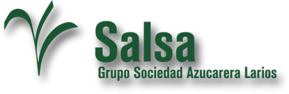 Salsa